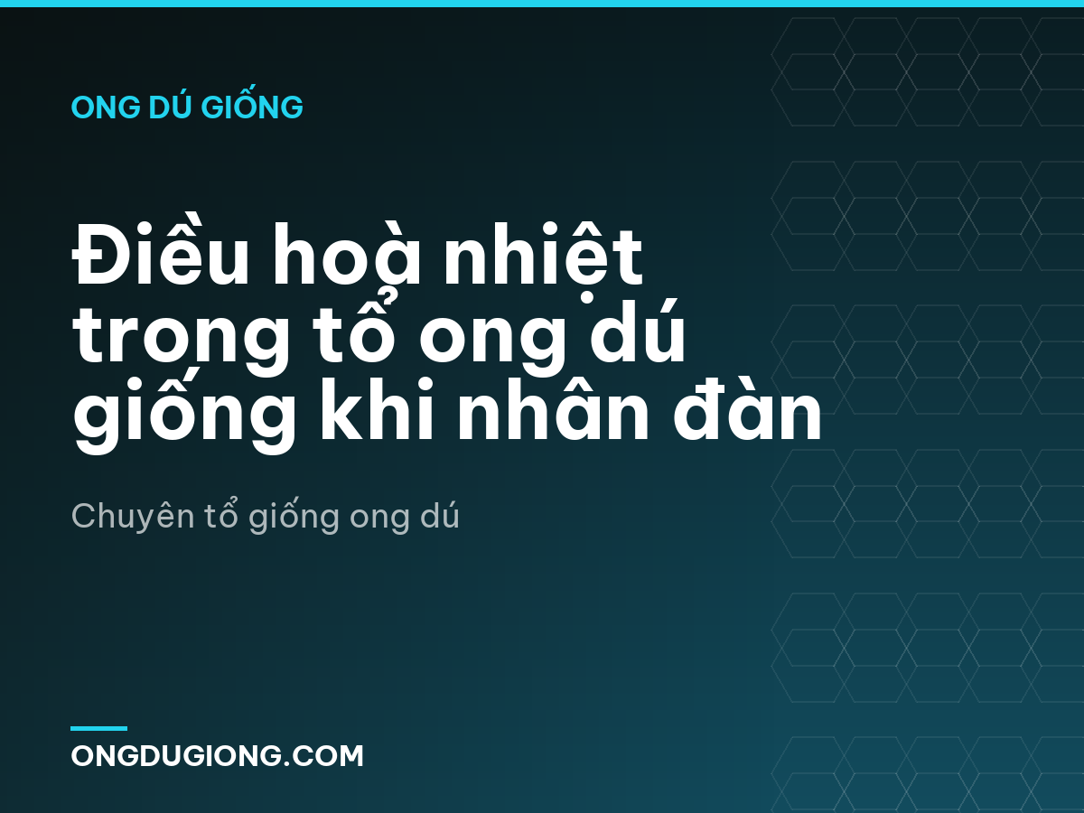 Điều hoà nhiệt trong tổ ong dú giống khi nhân đàn