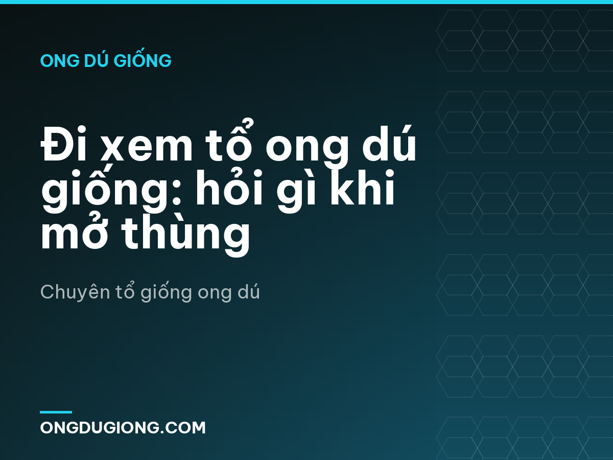 Đi xem tổ ong dú giống: hỏi gì khi mở thùng