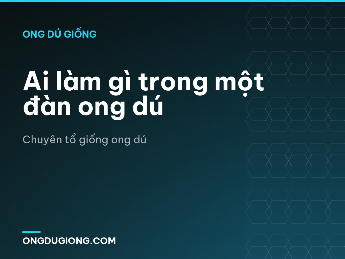 Ai làm gì trong một đàn ong dú