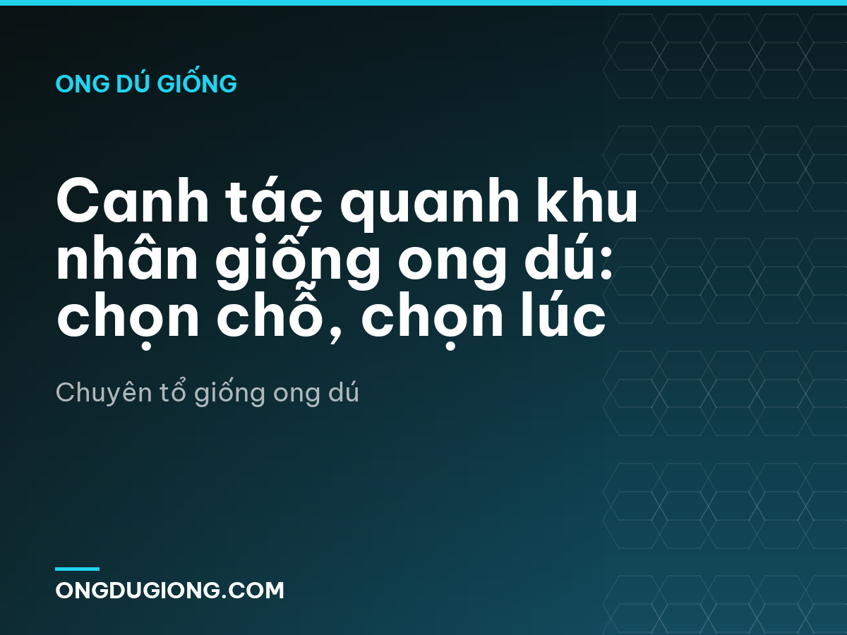 Canh tác quanh khu nhân giống ong dú: chọn chỗ, chọn lúc