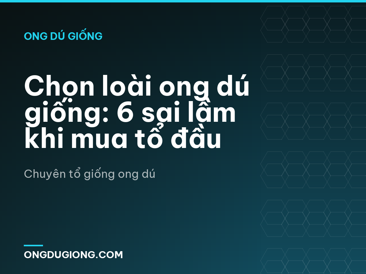 Chọn loài ong dú giống: 6 sai lầm khi mua tổ đầu