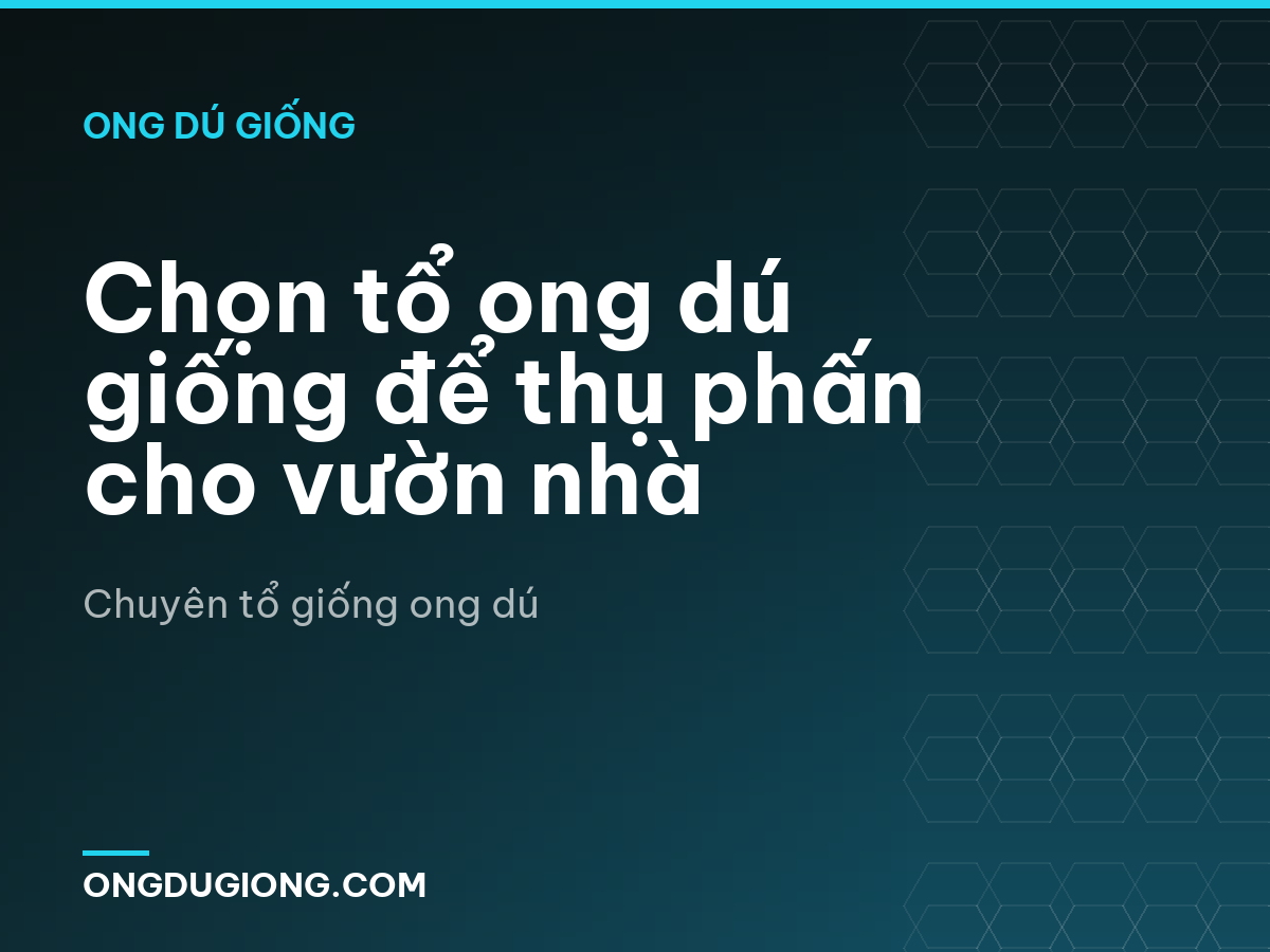 Chọn tổ ong dú giống để thụ phấn cho vườn nhà