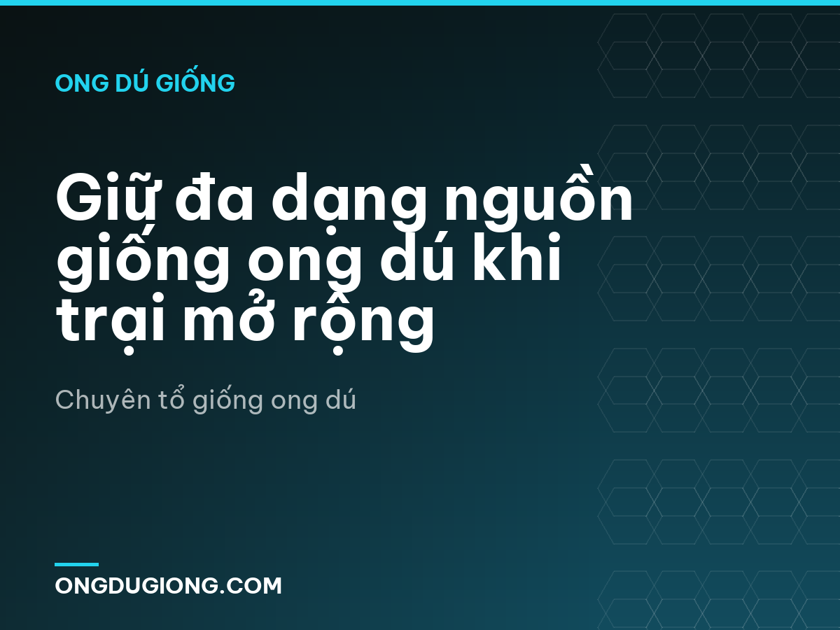 Giữ đa dạng nguồn giống ong dú khi trại mở rộng