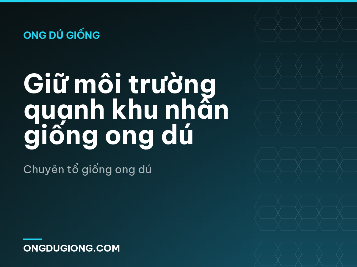 Giữ môi trường quanh khu nhân giống ong dú