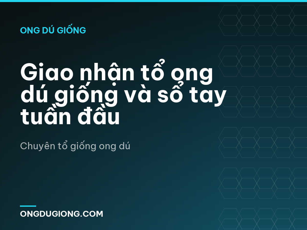 Giao nhận tổ ong dú giống và sổ tay tuần đầu