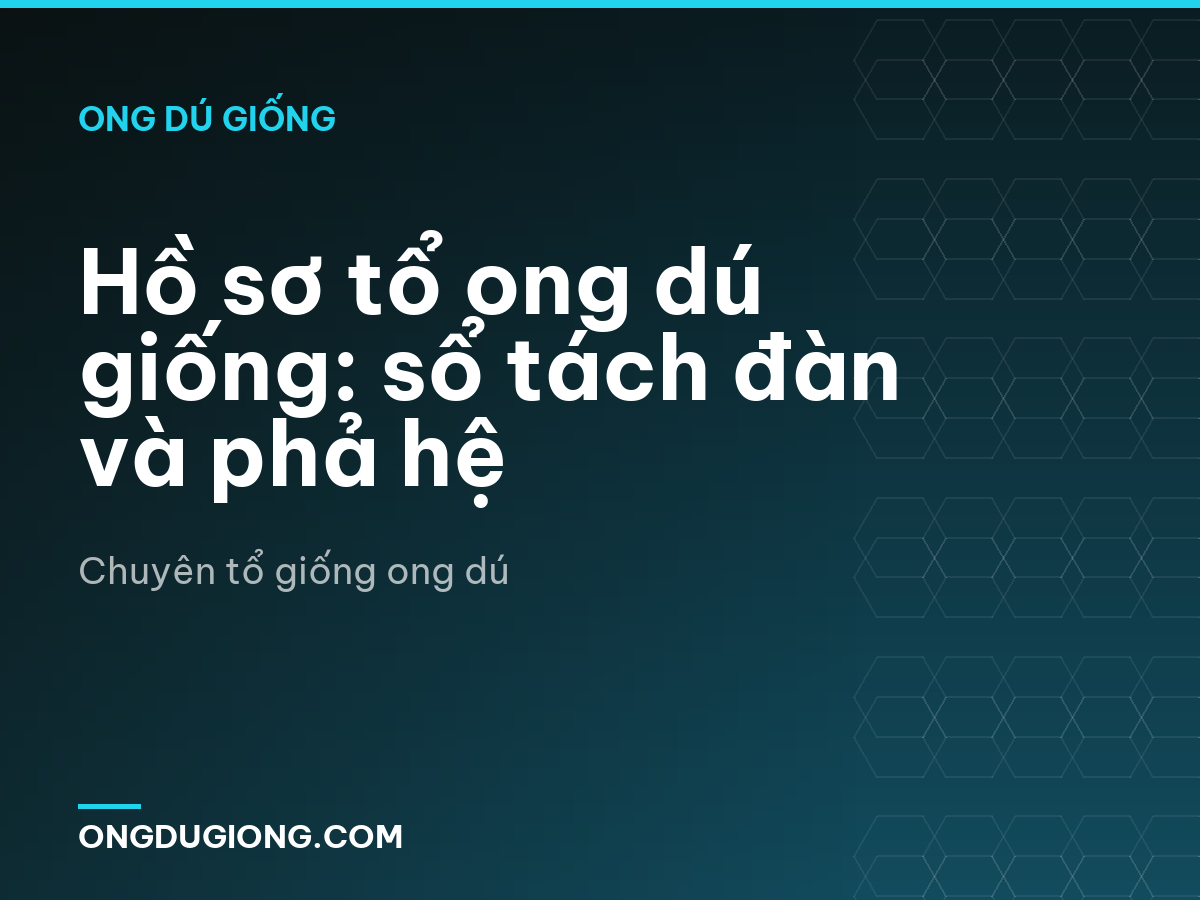 Hồ sơ tổ ong dú giống: sổ tách đàn và phả hệ
