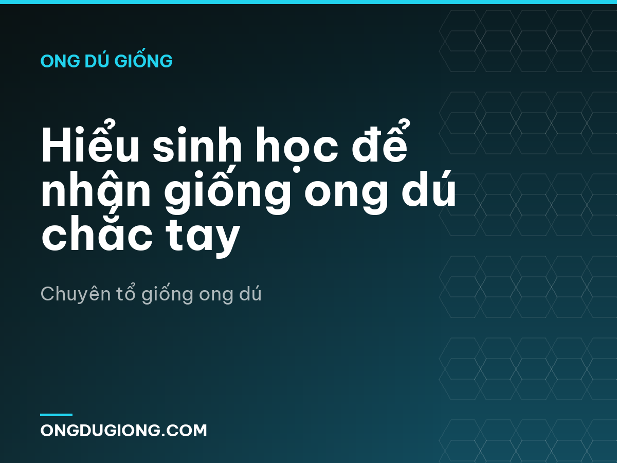 Hiểu sinh học để nhân giống ong dú chắc tay