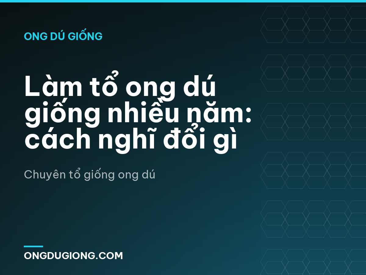 Làm tổ ong dú giống nhiều năm: cách nghĩ đổi gì
