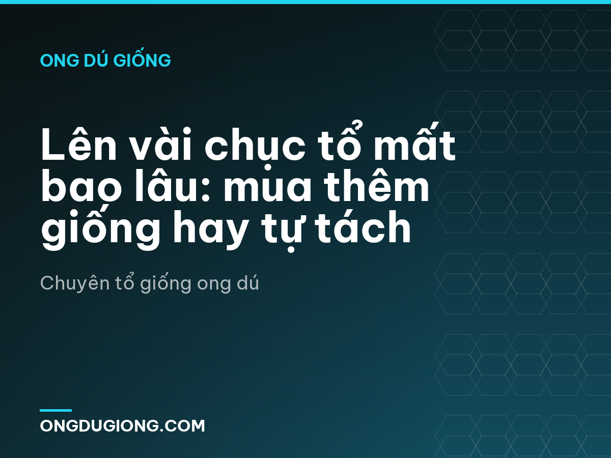 Lên vài chục tổ mất bao lâu: mua thêm giống hay tự tách