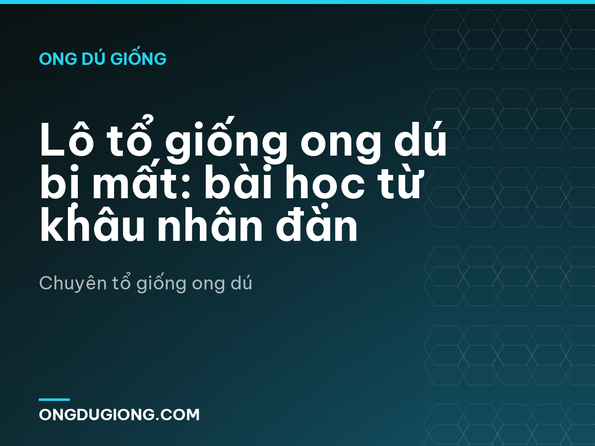 Lô tổ giống ong dú bị mất: bài học từ khâu nhân đàn