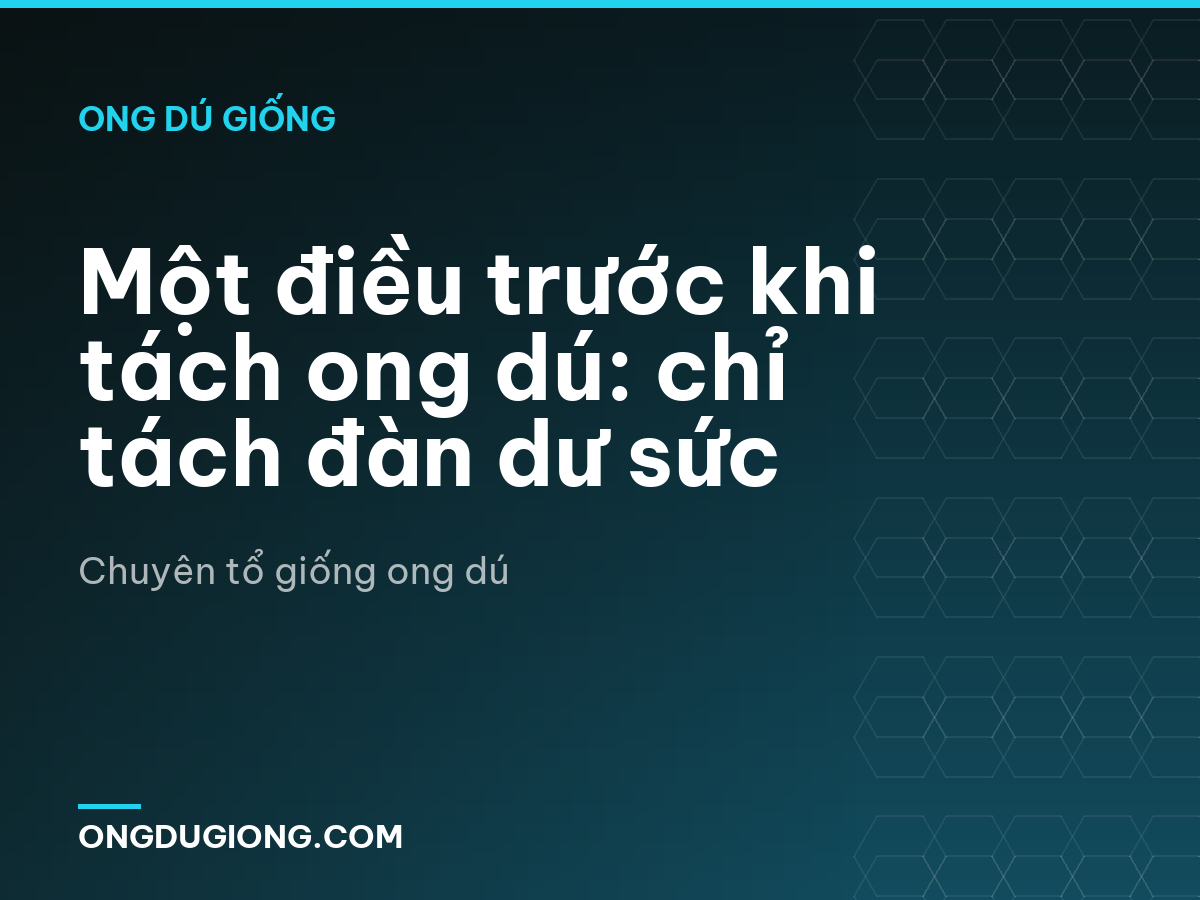 Một điều trước khi tách ong dú: chỉ tách đàn dư sức