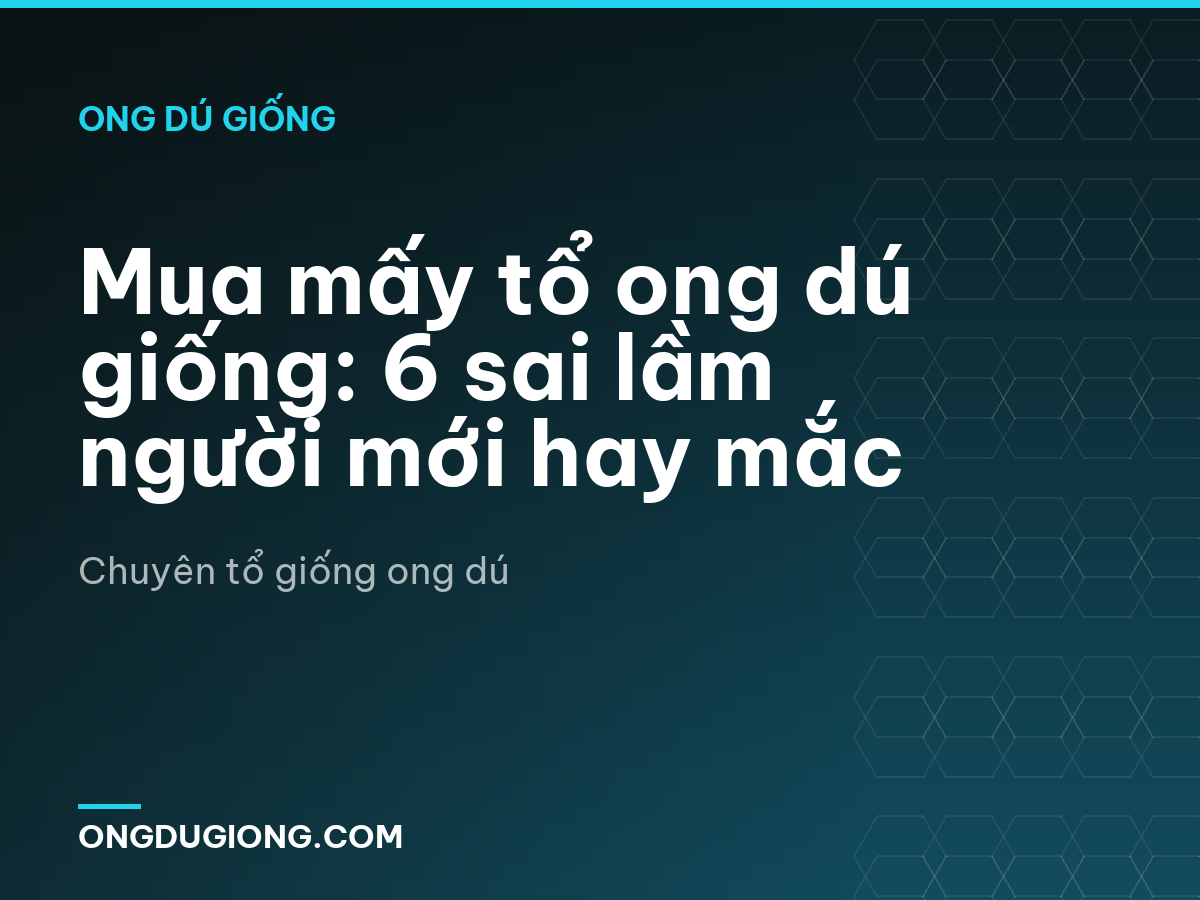 Mua mấy tổ ong dú giống: 6 sai lầm người mới hay mắc