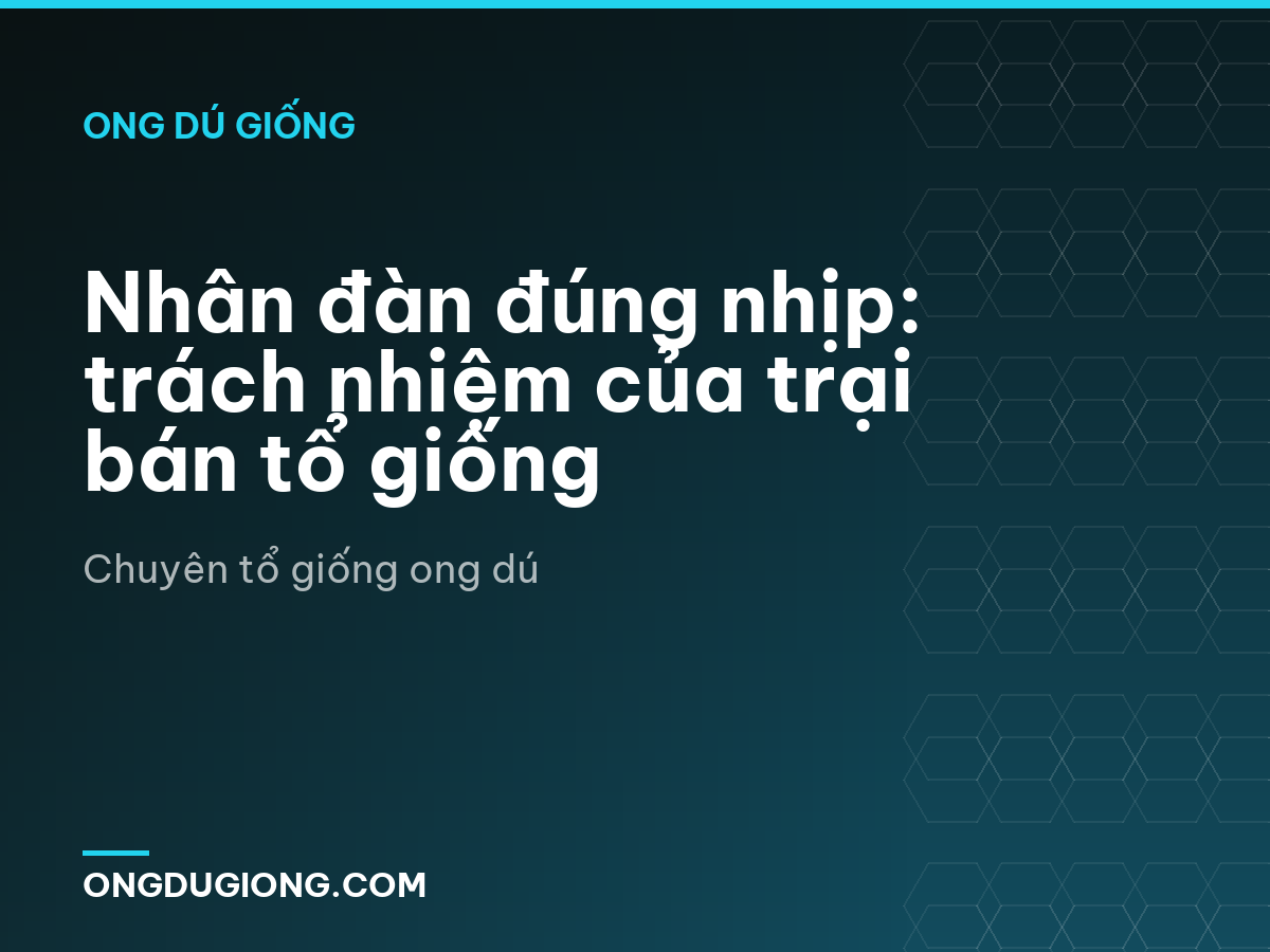 Nhân đàn đúng nhịp: trách nhiệm của trại bán tổ giống
