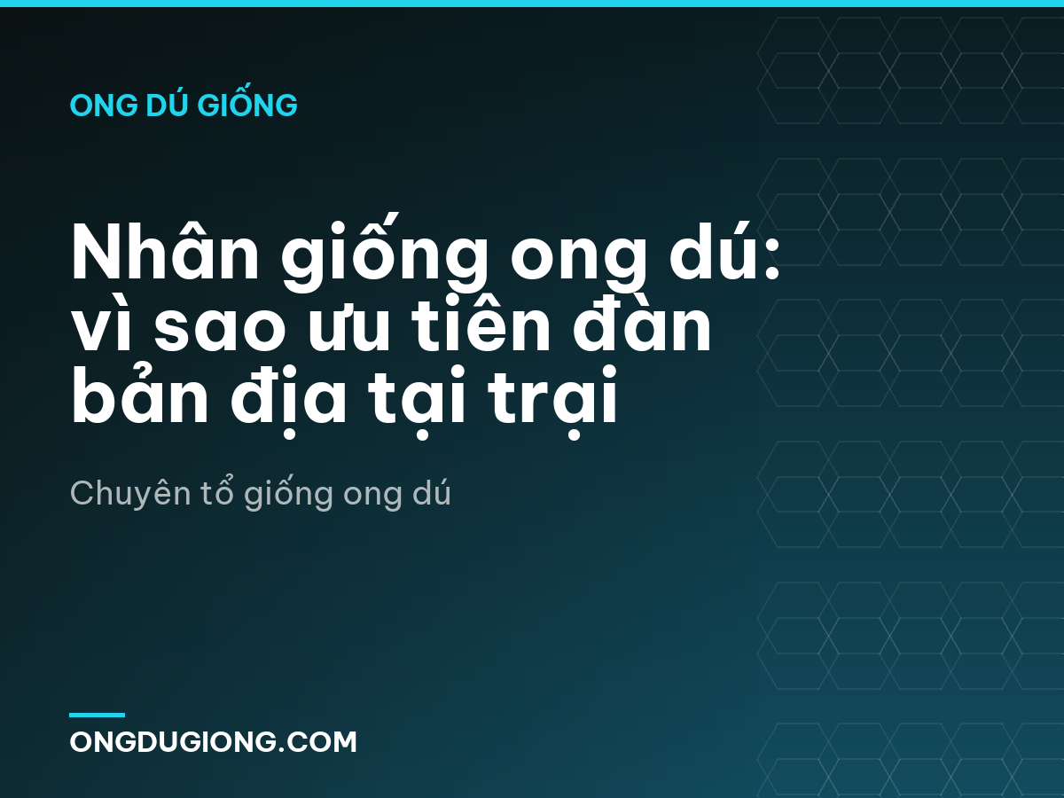 Nhân giống ong dú: vì sao ưu tiên đàn bản địa tại trại