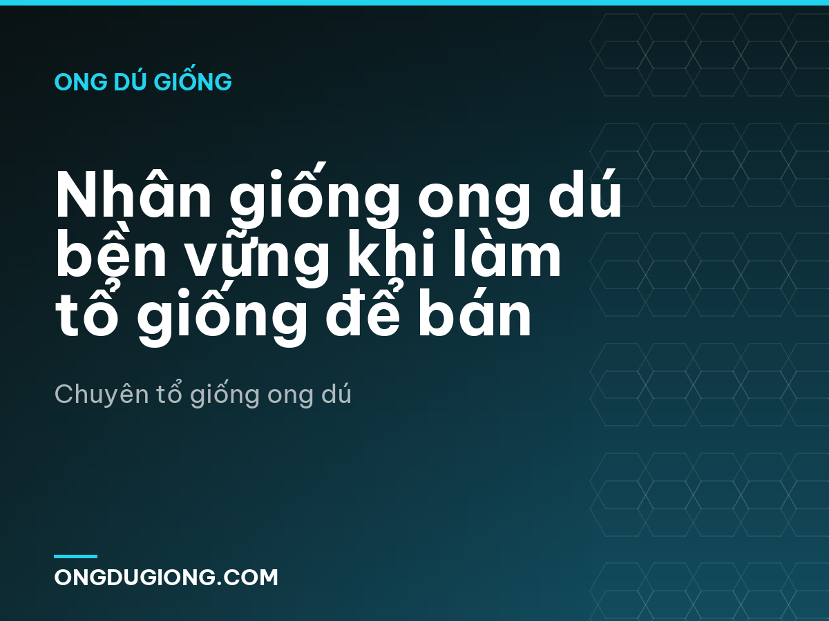 Nhân giống ong dú bền vững khi làm tổ giống để bán