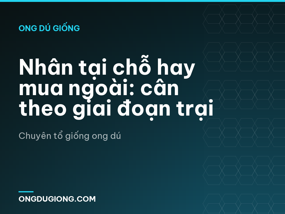 Nhân tại chỗ hay mua ngoài: cân theo giai đoạn trại