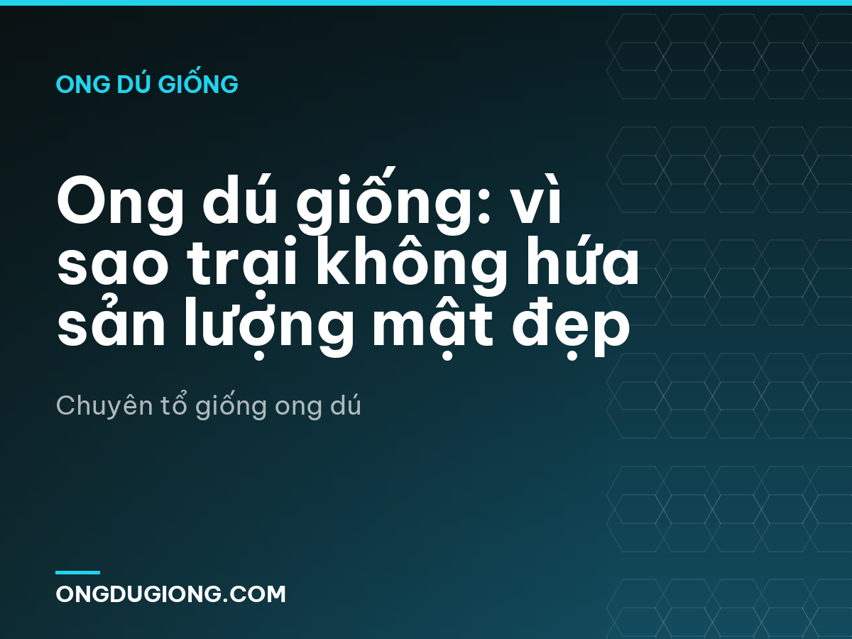 Ong dú giống: vì sao trại không hứa sản lượng mật đẹp
