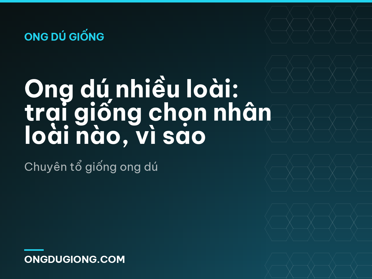 Ong dú nhiều loài: trại giống chọn nhân loài nào, vì sao