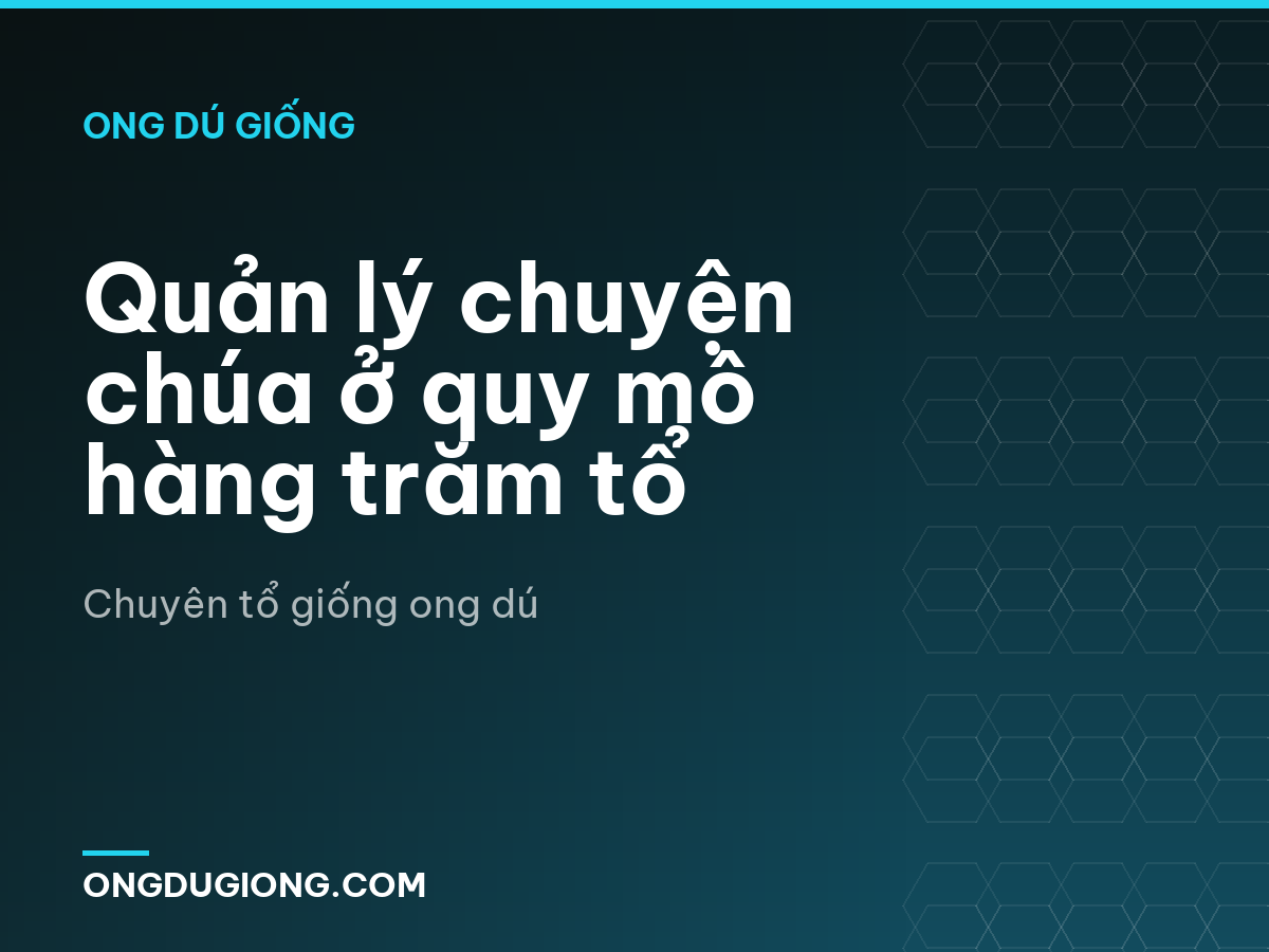Quản lý chuyện chúa ở quy mô hàng trăm tổ