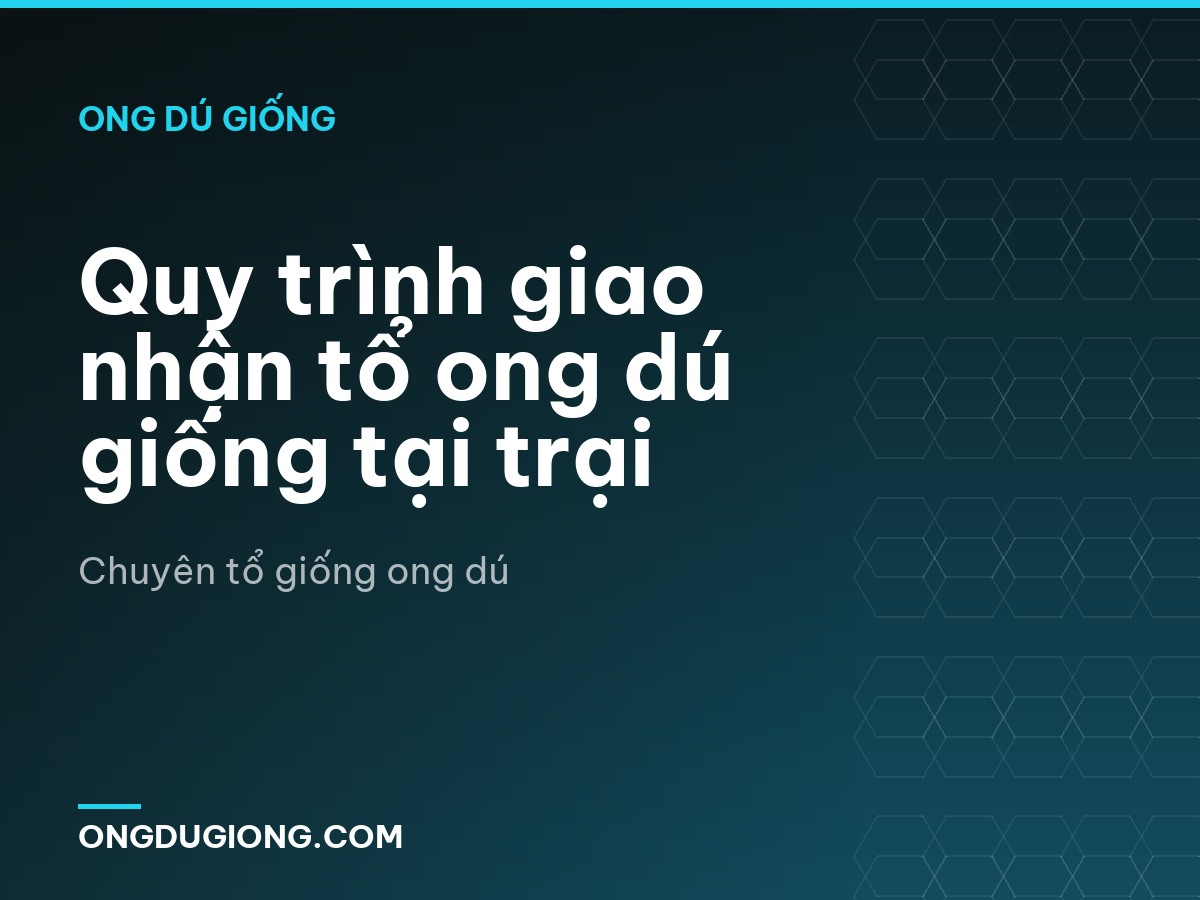 Quy trình giao nhận tổ ong dú giống tại trại