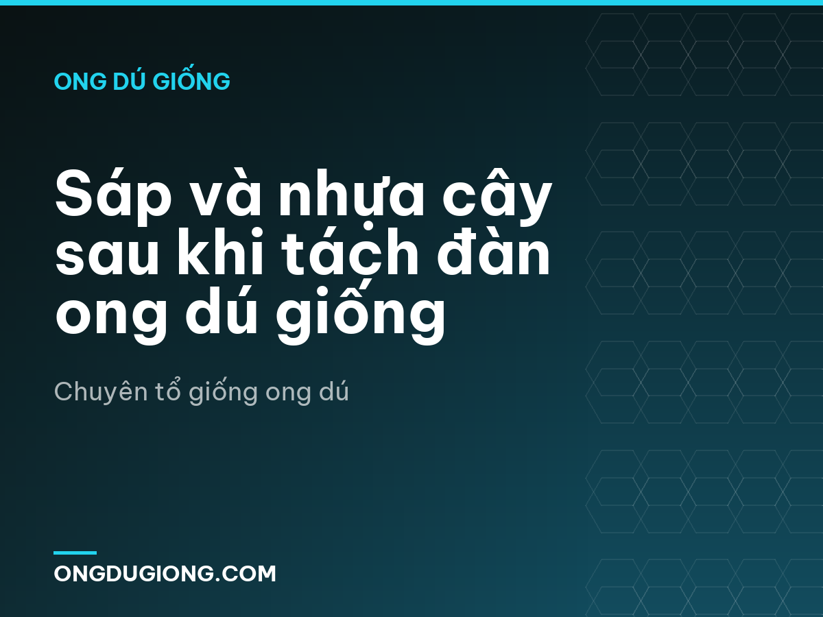 Sáp và nhựa cây sau khi tách đàn ong dú giống
