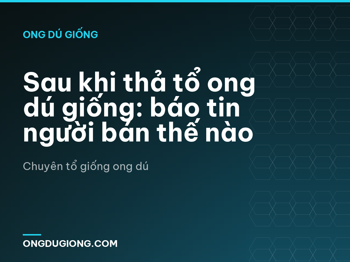 Sau khi thả tổ ong dú giống: báo tin người bán thế nào