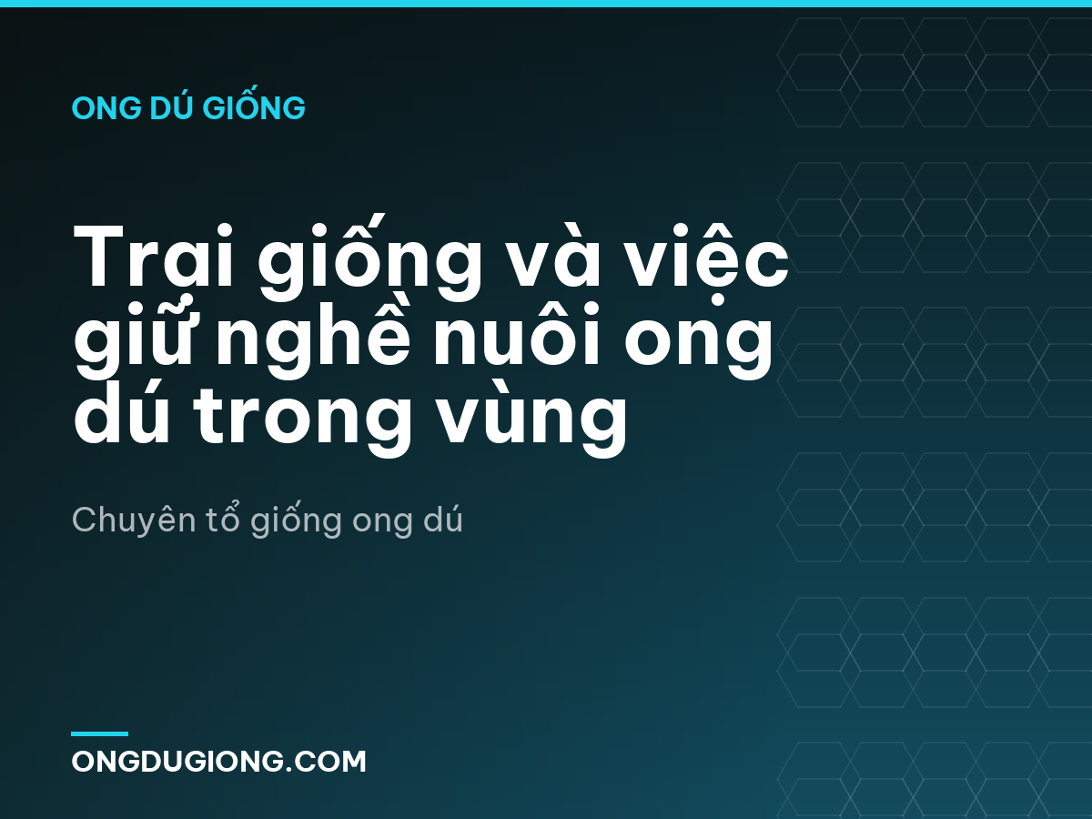 Trại giống và việc giữ nghề nuôi ong dú trong vùng