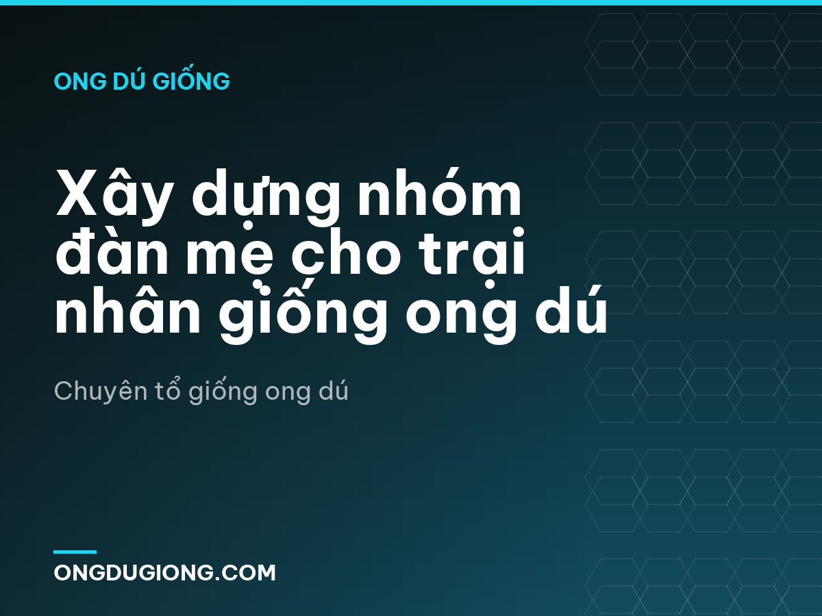 Xây dựng nhóm đàn mẹ cho trại nhân giống ong dú