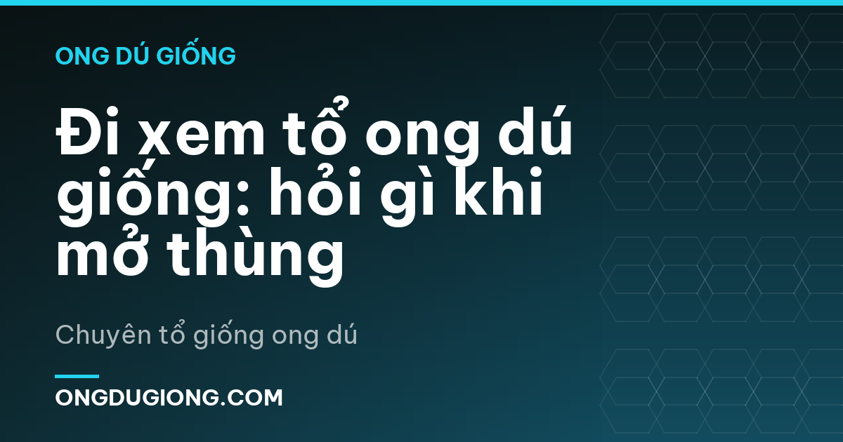 Đi xem tổ ong dú giống: hỏi gì khi mở thùng