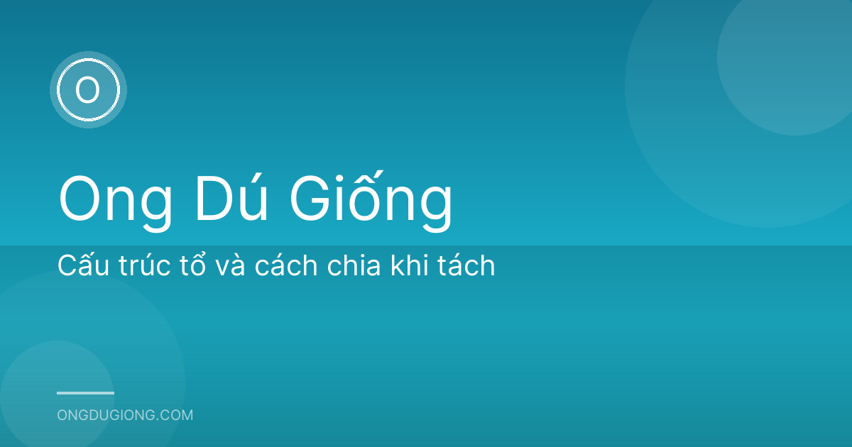 Cấu trúc tổ và cách chia khi tách