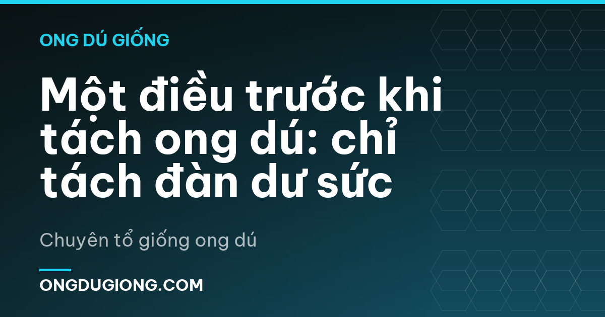 Một điều trước khi tách ong dú: chỉ tách đàn dư sức