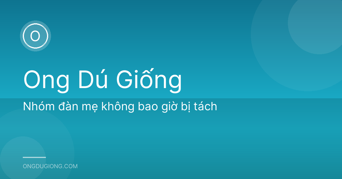 Nhóm đàn mẹ không bao giờ bị tách