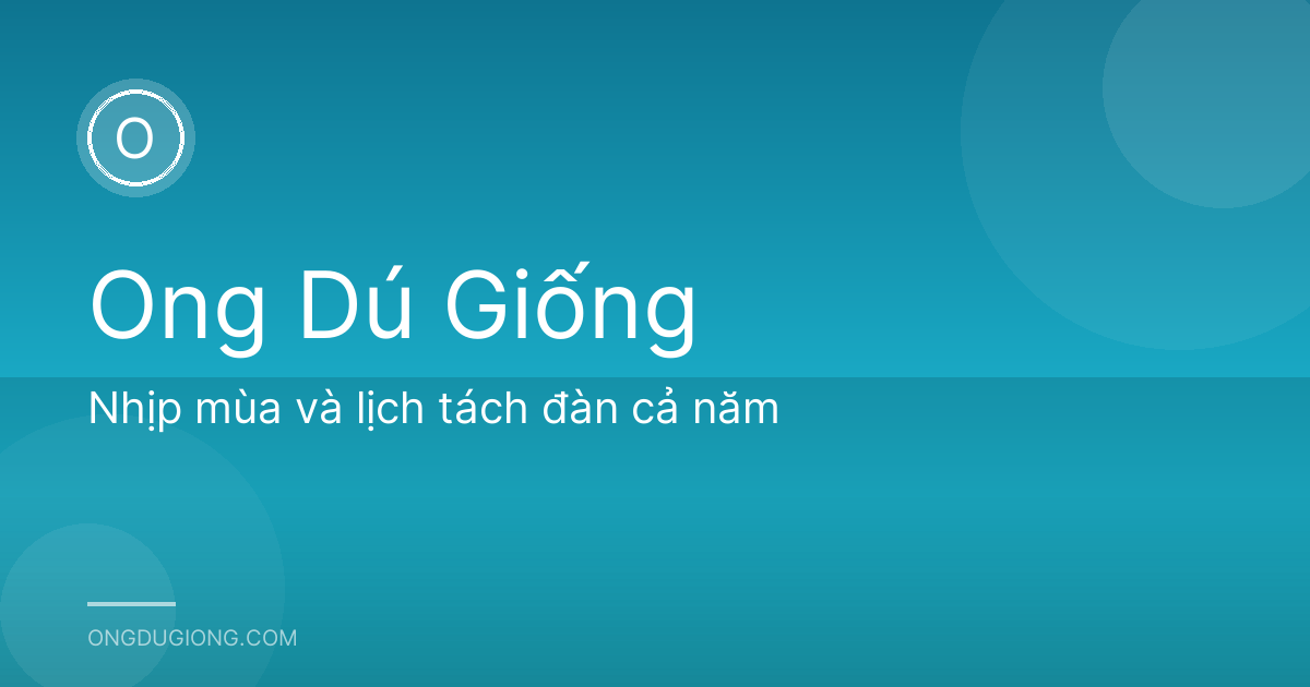 Nhịp mùa và lịch tách đàn cả năm