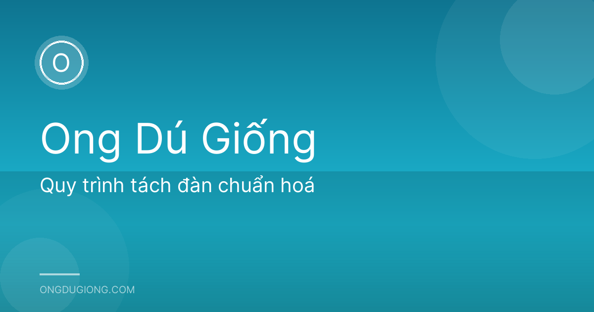 Quy trình tách đàn chuẩn hoá
