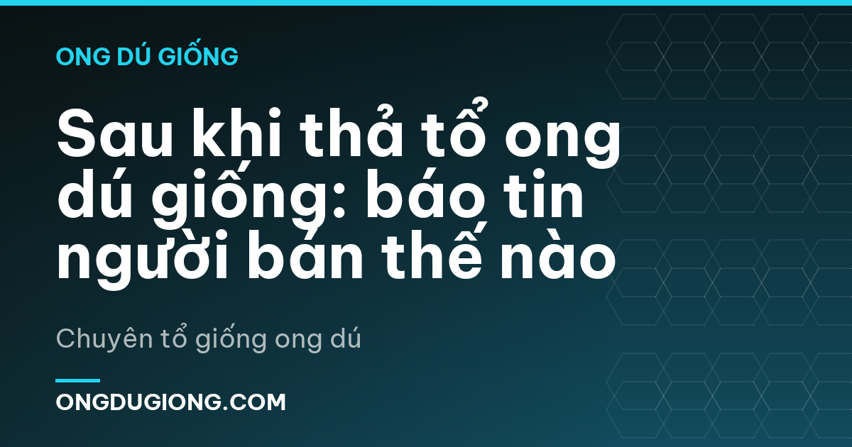 Sau khi thả tổ ong dú giống: báo tin người bán thế nào